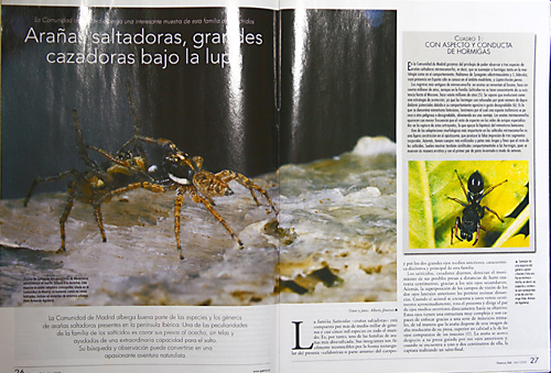 En el número 266 de abril del 2008 de la revista científica Quercus, se han publicado dos imágenes de nuestro fotógrafo Armando Aguilera para ilustrar un estudio sobre arañas saltadoras. […]
