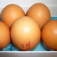 ¿Por qué los huevos ya no son blancos? ¿Por qué los huevos del pueblo saben mejor que los que compramos en el mercado? Las gallinas ponedoras hoy en día viven hacinadas […]
