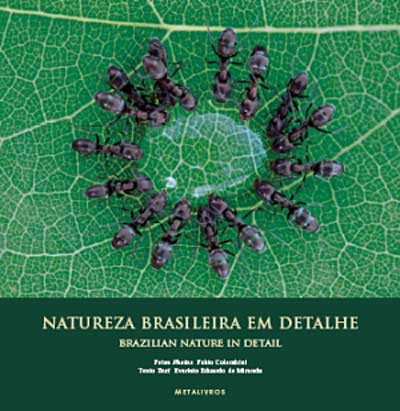 natureza_brasileira_front