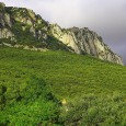 La Sierra de Kodes es la última cadena montañosa sobre la depresión del Ebro, emparentada geológicamente con las de Alaiz y Leire, al Este de Navarra. Es una falla de […]