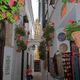 ¿Quién ha ido a Córdoba y no se ha dado una vuelta por la Calleja de las Flores?. Junto a la Mezquita, el Alcázar de los Reyes Cristianos o su […]